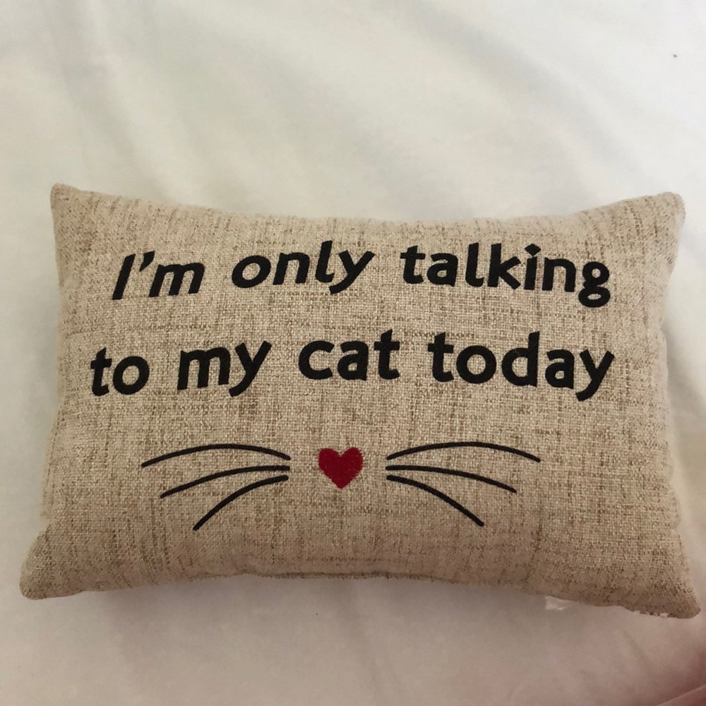I am only talking to my cat today pillow